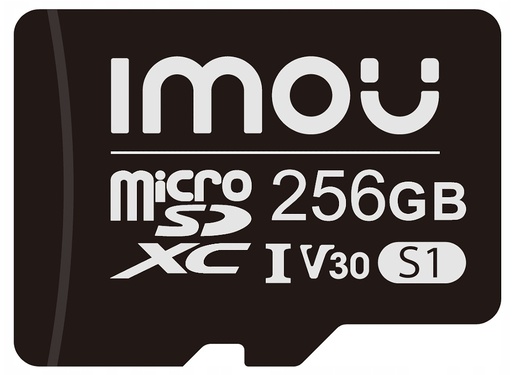 TARJETA MICRO SD 256GB